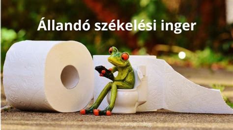 Infografika: A terhességi aranyér okai összefoglalva