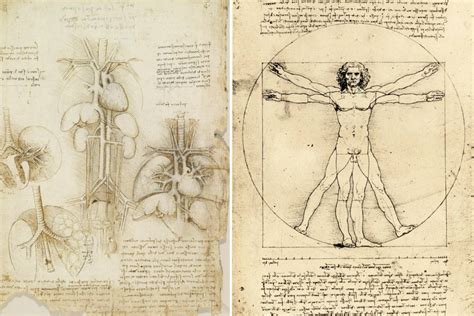 Leonardo da Vinci rajza az emberi koponyáról