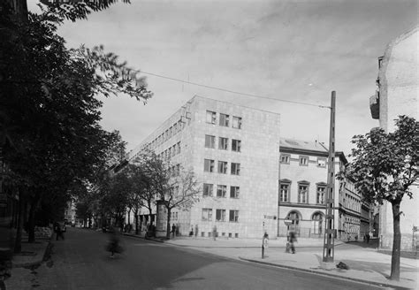 A SzülésSzületéS fa az ELTE Izabella utcai kampuszán