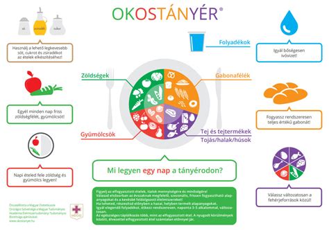 Okostányér ajánlás terhesség alatt