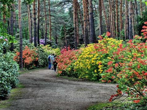 Neszmélyi Arborétum tanösvénye