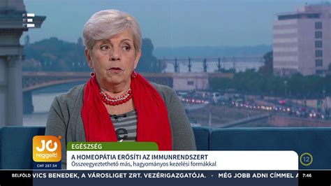 Dr. Sebő Zsuzsanna előadást tart