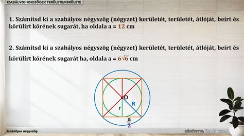 Különböző formájú (kör, négyzet) és méretű labdamedencék összehasonlító rajza