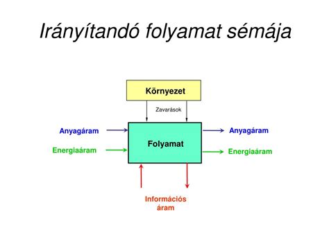 A rejtettheréjűség és a hereleszállási folyamat sémája