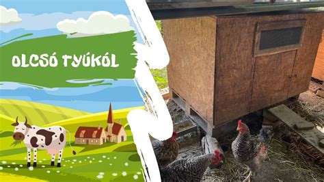 A tyúkól kovaporral való kezelésének folyamata