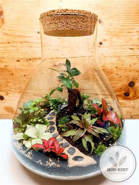 Gyönyörű florárium