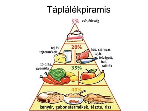 Táplálékpiramis gyerekeknek