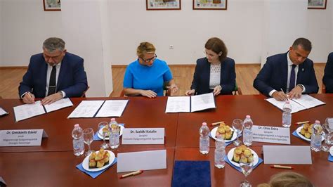 A gyógyszerhamisítás elleni fellépés folyamatábrája