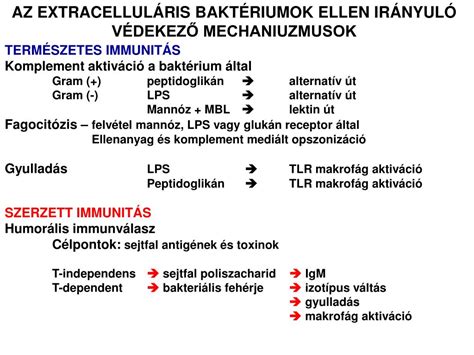 Baktériumok elleni küzdelem