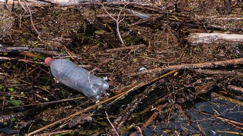 Műanyag hordtasakok és a környezetvédelem
