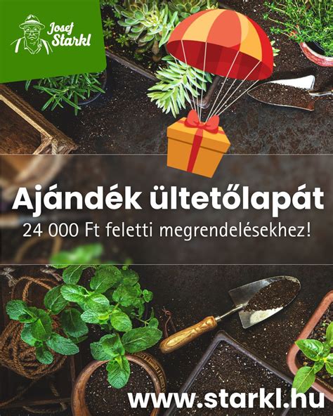 Biztonságos növények a bölcsődei udvaron