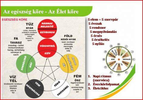 Az öt elem szerepe az emberi teremtésben