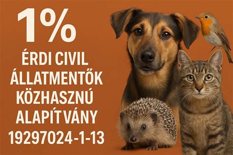 Mesemondás egy csoport előtt