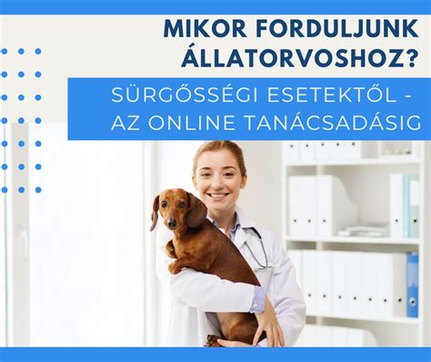Állatorvosi sürgősségi esetek