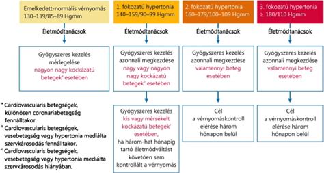 A végtagfejlődési rendellenességek típusai és gyakorisága