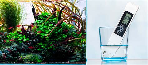 Ideális vízhőmérséklet a vízben szüléshez