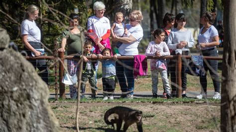 Család babakocsival az állatkertben