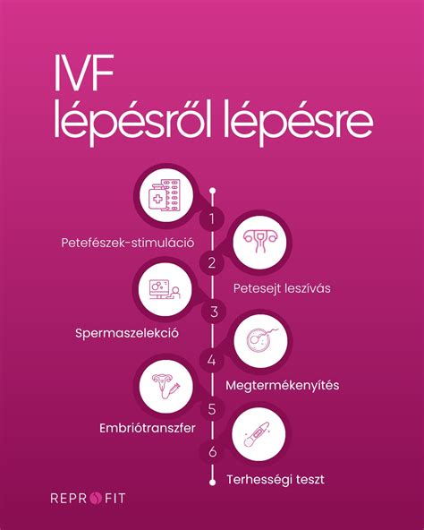 Lombikbébi (IVF) eljárás lépésről lépésre