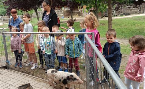 Gyermekek kiránduláson az óvoda környezetében