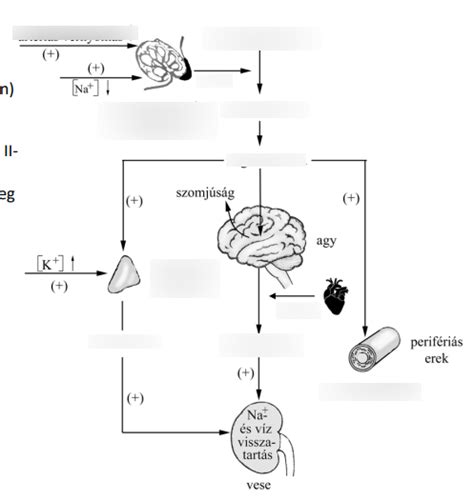 Diagram: A szívásintenzitás szabályozása a mellszívón