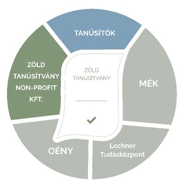 Visszlízing folyamata