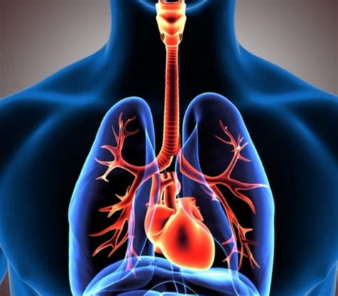 Az akut bronchitis tünetei és lefolyása