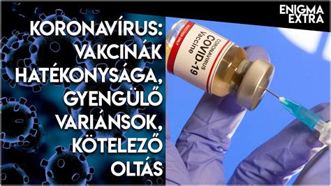 A vakcinák hatékonysága a történelemben