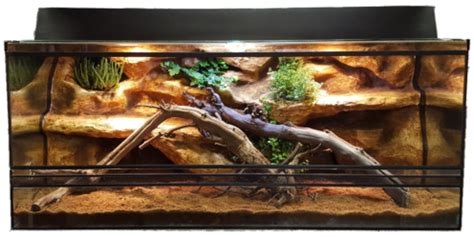 Királypiton terrárium berendezése búvóhellyel és itatóval