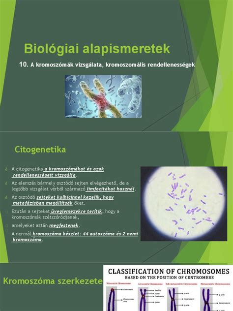 Izomtónus rendellenességek ábrája