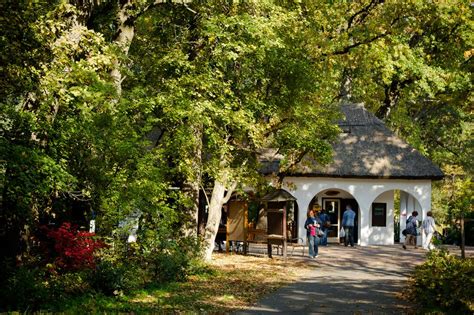 Szarvasi Arborétum növényvilága