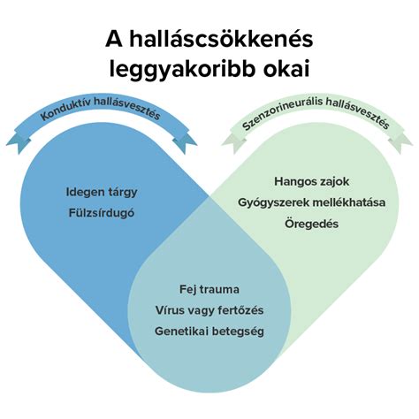 A halláskárosodás típusai és okai