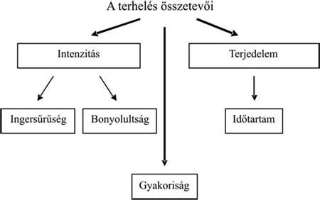 A gyermekek életkori sajátosságai és a bírósági meghallgatás