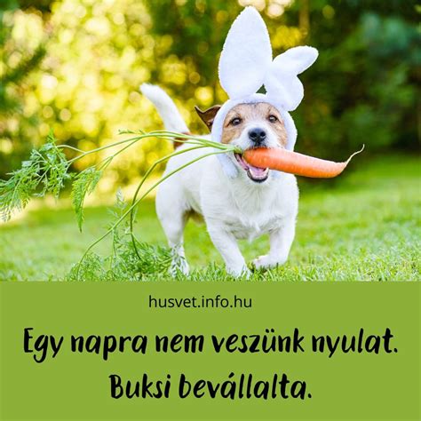 vicces gyerekrajzok gyűjteménye