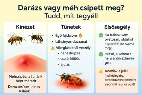 Infografika a toxoplazmózis terjedéséről és megelőzéséről
