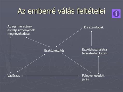 Az újszülöttkori szűrővizsgálat folyamata