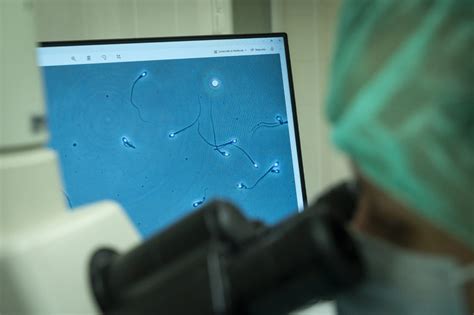 Nő petesejtet adományoz