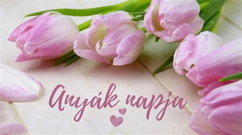infografika a szülészeti statisztikákról és az anyák napi dátumokról