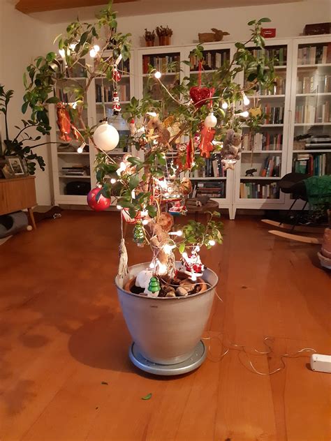 Alternatív karácsonyfák ötletgyűjteménye