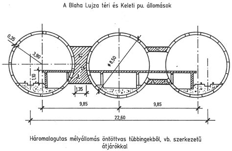 Keresztmetszet a méhlepényről
