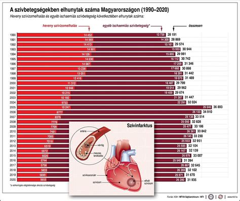 Infografika a szív- és érrendszeri betegségek megelőzéséről