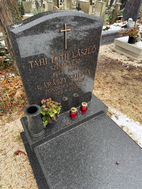 Tahi Tóth László filmjeiből készült kollázs