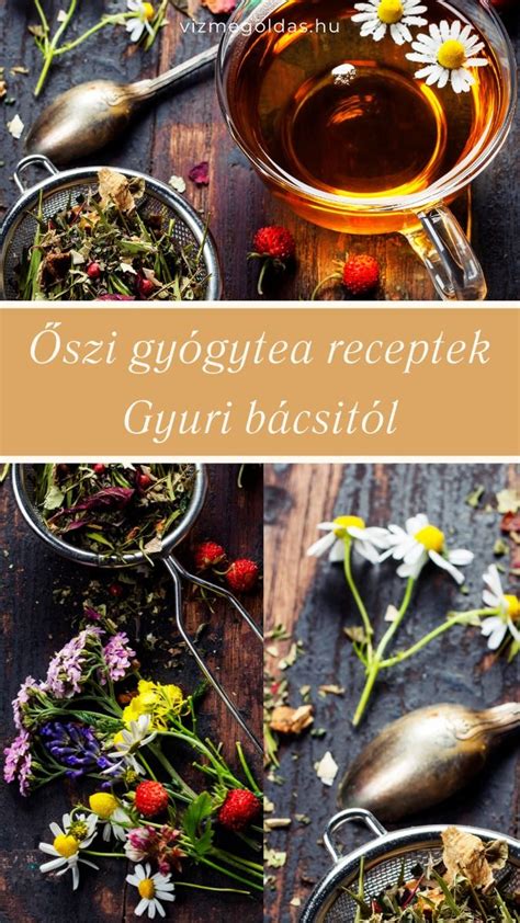 Gyógytea receptek terhességi náthára