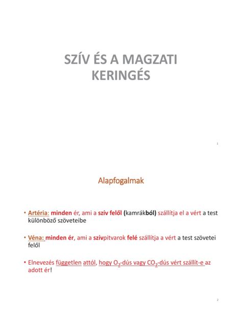 A magzati szív fejlődésének szakaszai