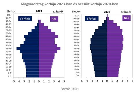 Demográfiai adatok a felmérésben résztvevő bábákról