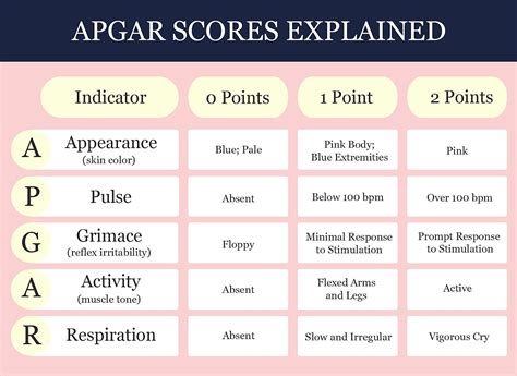 Apgar-skála infografika