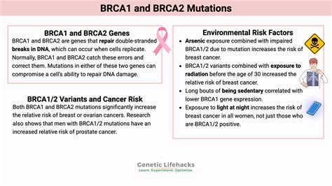 BRCA1 és BRCA2 gének