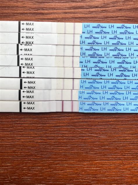 Hőmérőzés és LH teszt eredményeinek grafikonja a ciklus során