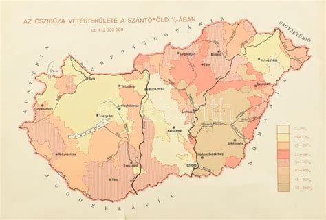 Gazdasági térkép mutatókkal