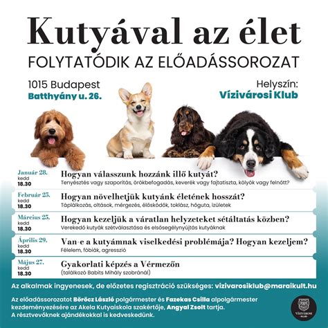 A felelős kutyatartás fogalma