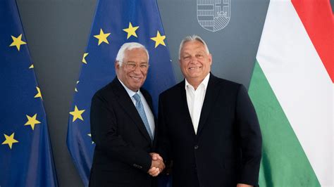 Ellés előtt álló szuka